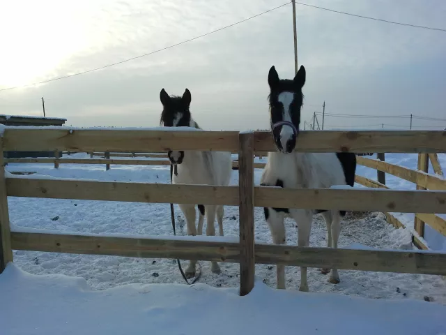 КК "Аллюр", фото 10