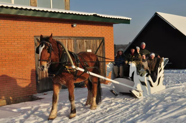 КК "Резвый конь", фото 4