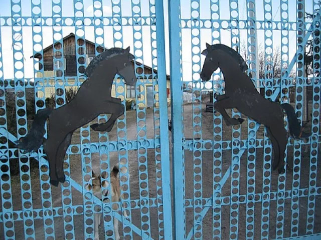 КСК "Мангуст", фото 8