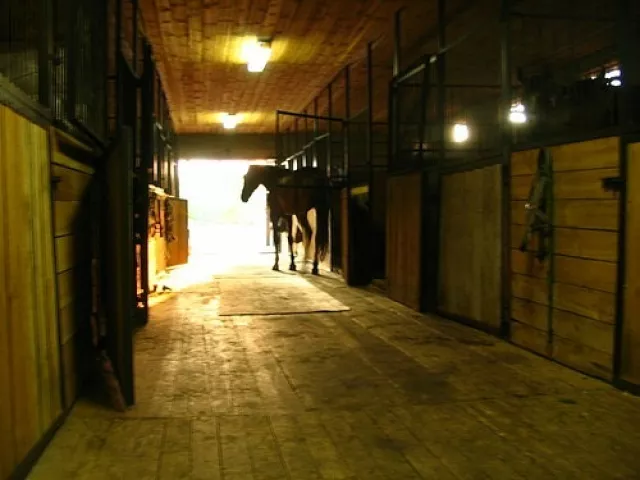 КСК "Мангуст", фото 13