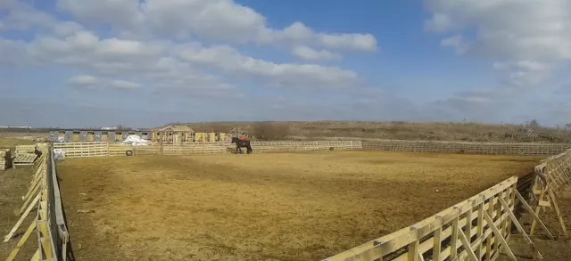 КК "Рыжий Конь", фото 2