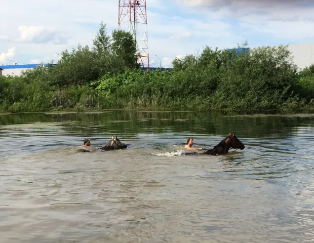 Конный клуб СОФОРА, фото 9