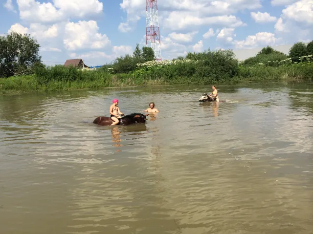 Конный клуб СОФОРА, фото 10