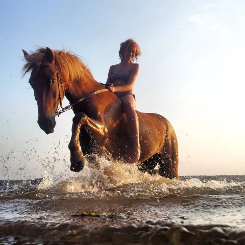 Конноспортивный клуб "Радуга", фото 8