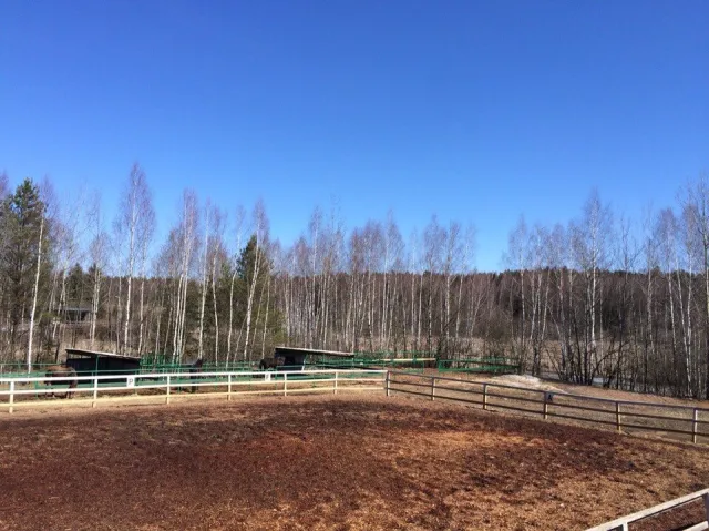 Конный клуб " Рыжик", фото 5