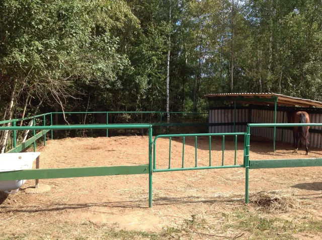 Конный клуб " Рыжик", фото 4