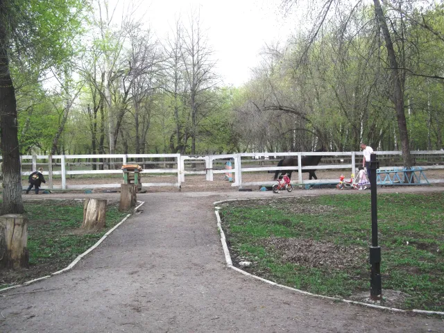 Солнечный остров, фото 5
