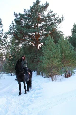 Конный двор "Gold Horse", фото 2