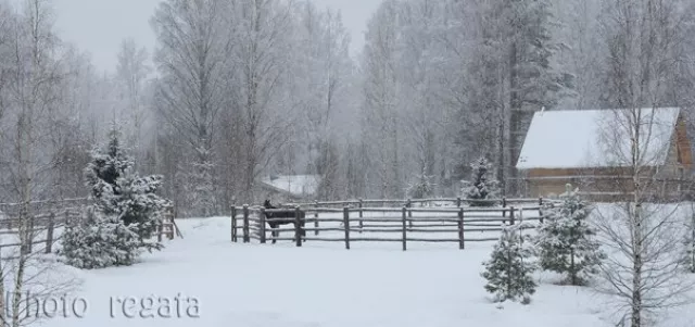 КСК "Лемболовский каскад", фото 6