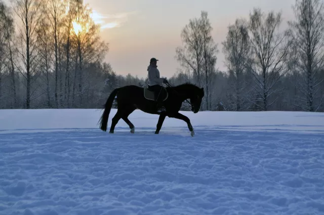 КСК "Лемболовский каскад", фото 1