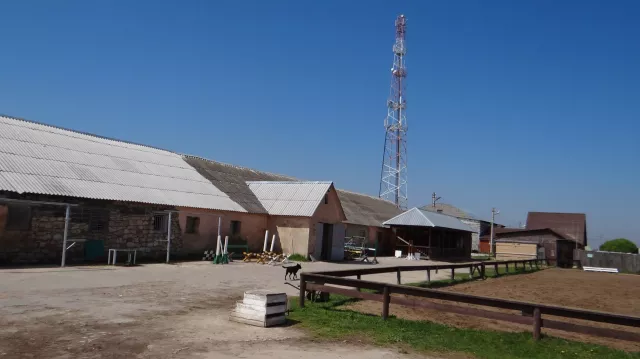 КФХ Мельников Г.П, фото 2