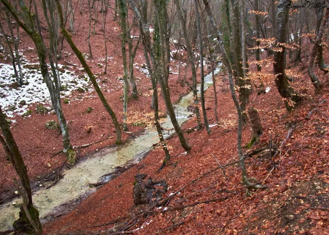 Конный клуб "Данира", фото 10