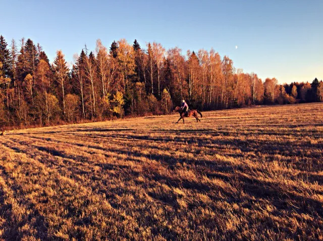 КСК Возрождение, фото 7