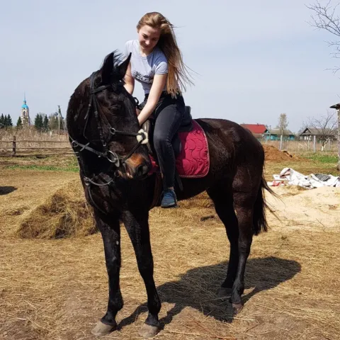 кск "Гордость", фото 3