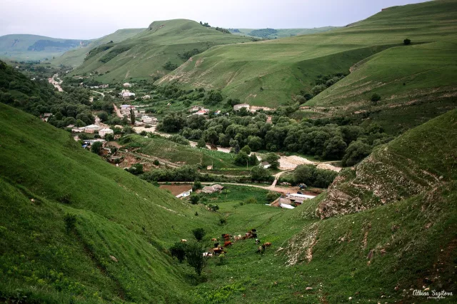 Конная база Хасана Салпагарова, фото 5