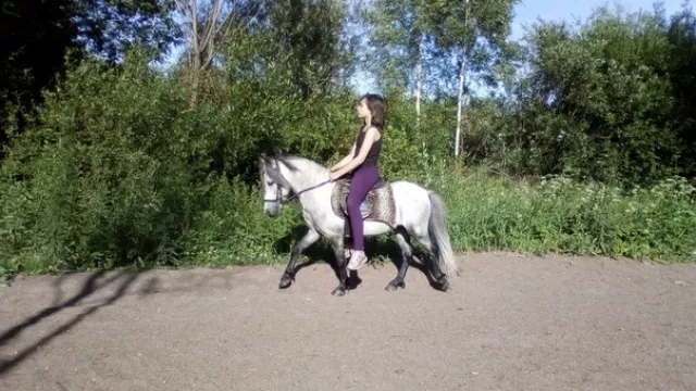 ч. к.  "Ограда", фото 9