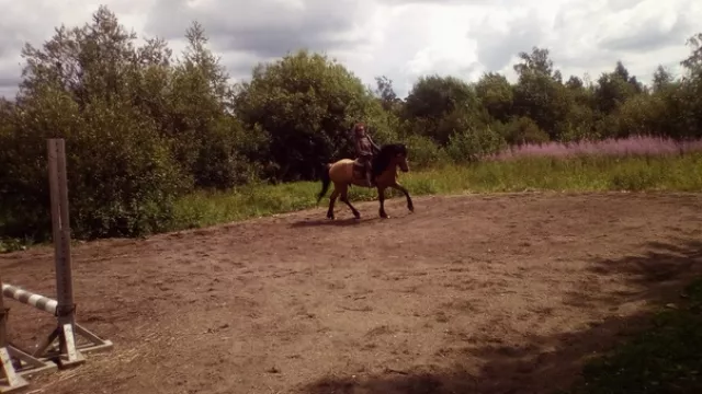 ч. к.  "Ограда", фото 7