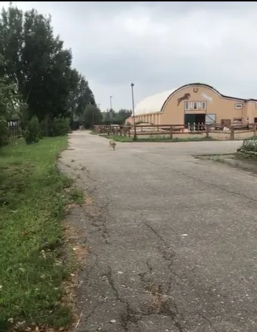 КТК Станица, фото 22