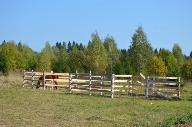 Конный клуб Gelios, фото 4