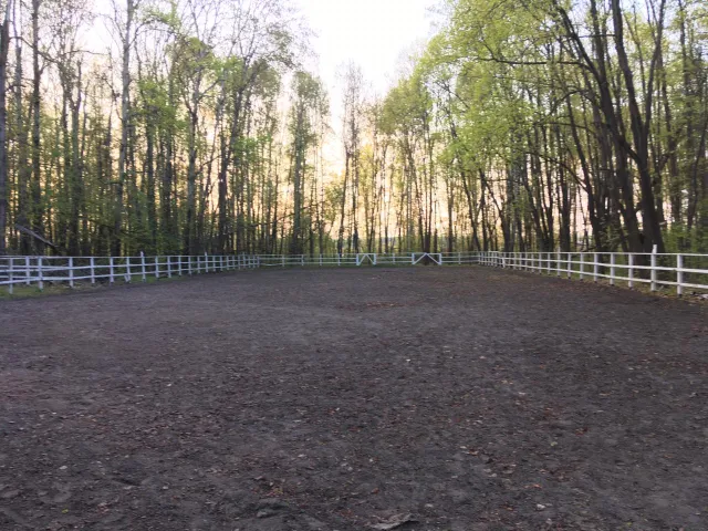 КК "4 Сезона", фото 4