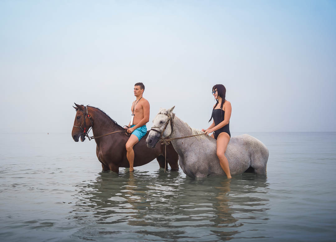 Купание крым. Лошади в Крыму. Купание на лошадях. Конные прогулки в Заозерном. Лошади на берегу Каспия.