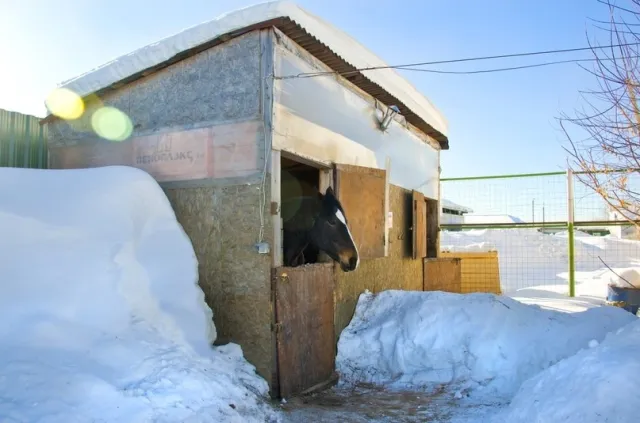 Конный дом Александрово, фото 13