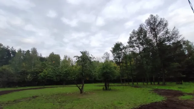 Конный Двор "ЛЕСНОЕ", фото 12