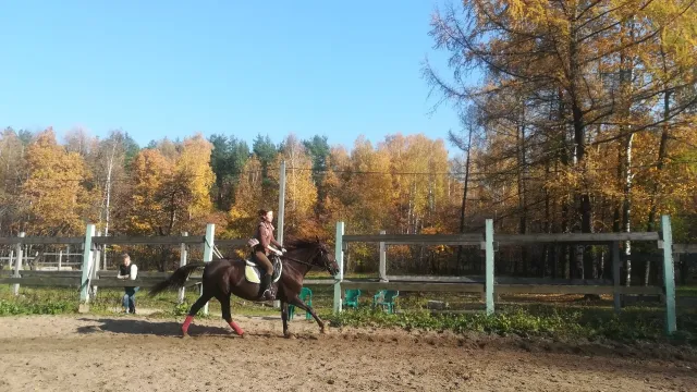 Конный Двор "ЛЕСНОЕ", фото 3