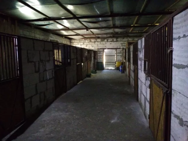 Конный клуб КонеДом, фото 3