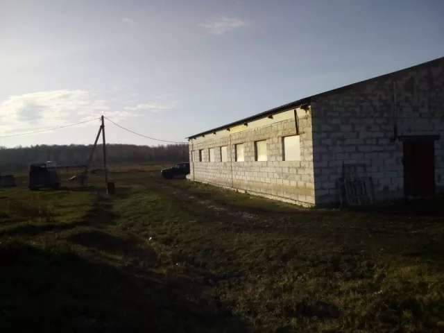 Конный клуб КонеДом, фото 1