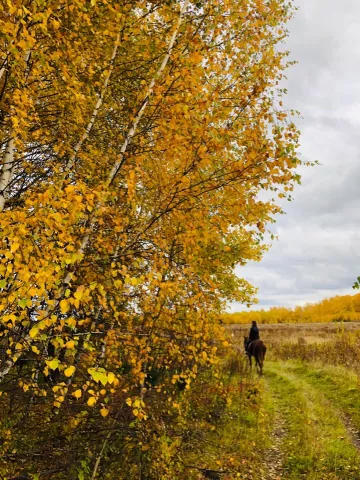 КСК «Болынтово», фото 8