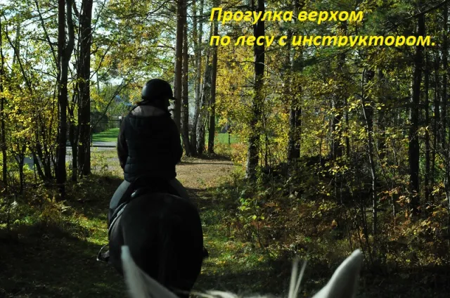 Темная Лошадка, фото 4