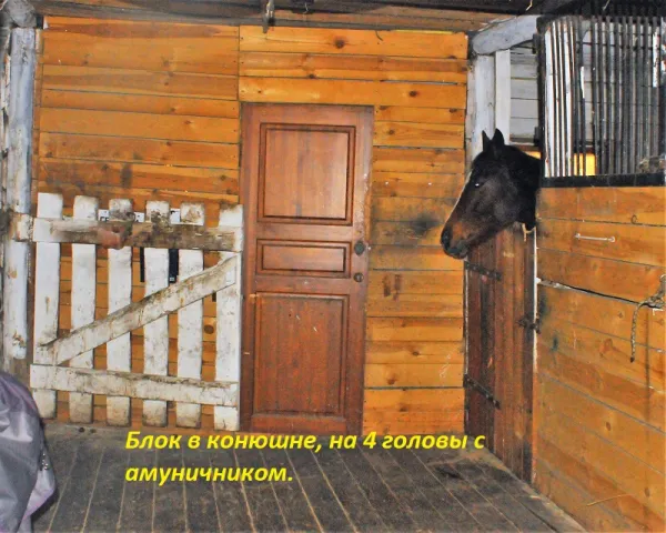 Темная Лошадка, фото 3