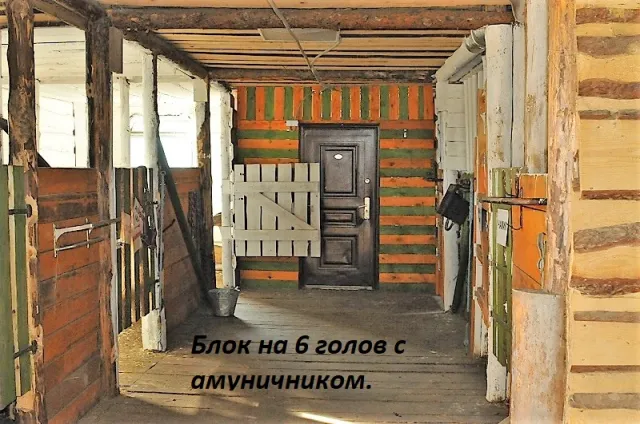 КСК Темная Лошадка, фото 6