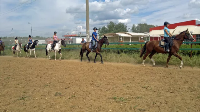 Вышегор, фото 10