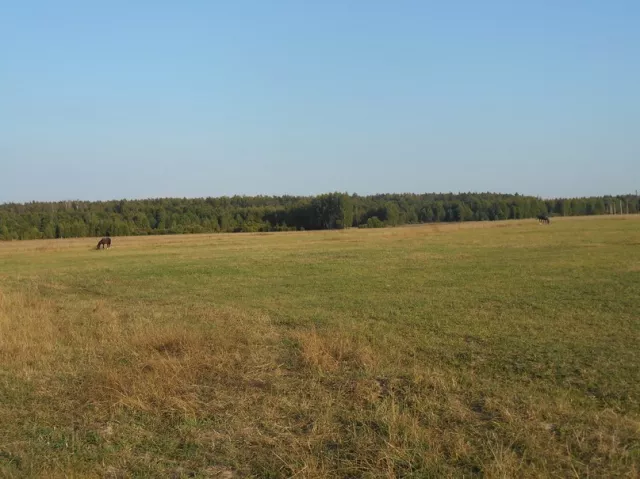 Конный клуб ClubHorse, фото 3