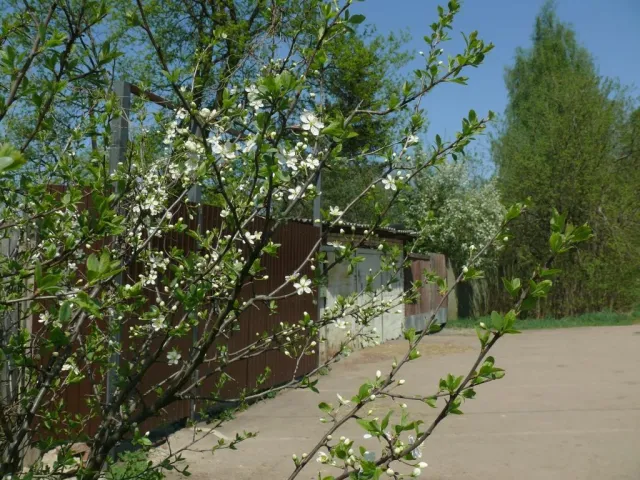 КСК КДИ, фото 2