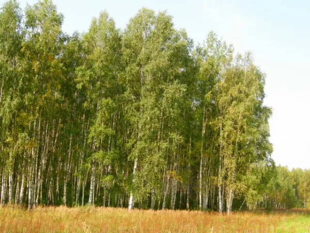 Кск "Экви Тек", фото 4