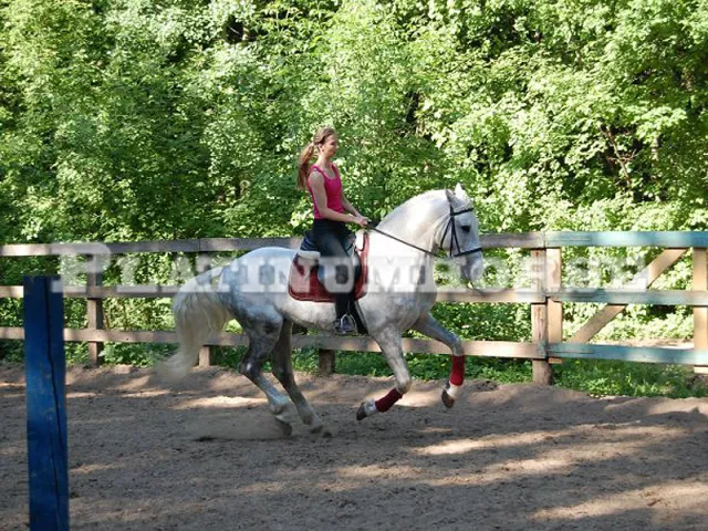 platinumhorse, фото 4