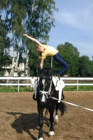 СДЮШОР "Белка" (при КСК "Белая дача"), фото 3