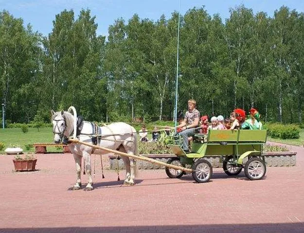 Конный клуб "Ершово", фото 3