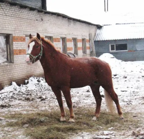 КПК "АЛЬТАИР", фото 1