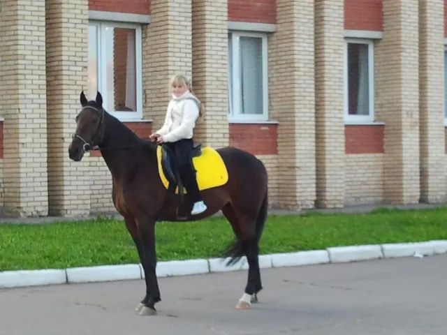 кск "петелино", фото 1