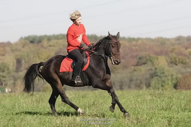Конно-спортивный клуб Фортуна, фото 3
