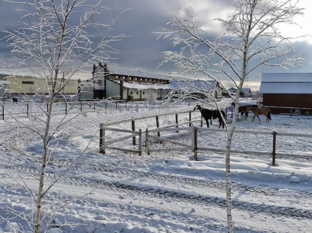 КСК Добромысли, фото 2