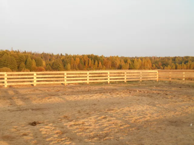 Конный клуб ClubHorse, фото 2