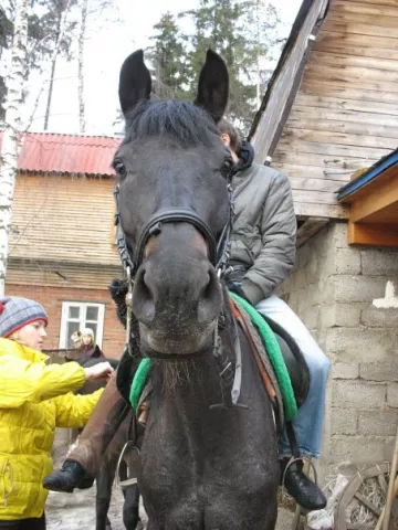 КП\'\'Татьяна\'\', фото 3