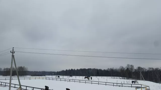 КСК Черный Кабанчик, фото 1