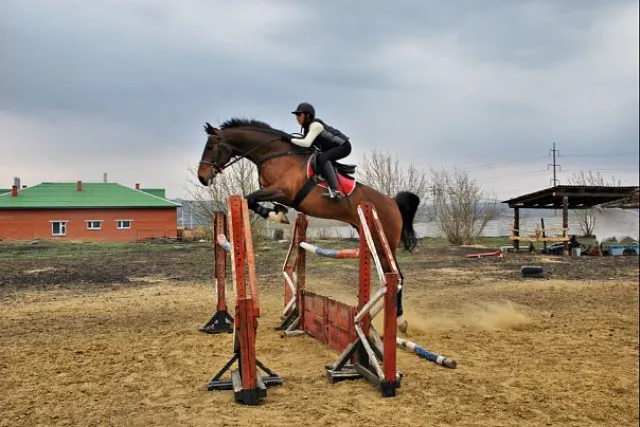 МУФКС "Конно спортивный клуб" г. Саранск, фото 1