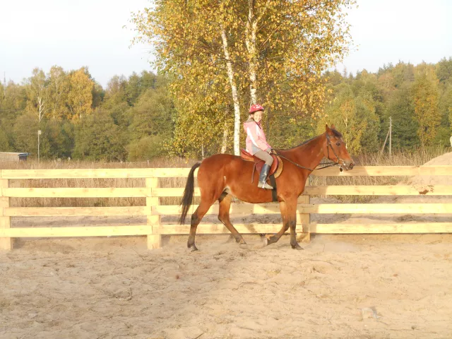 Конный клуб ClubHorse, фото 1